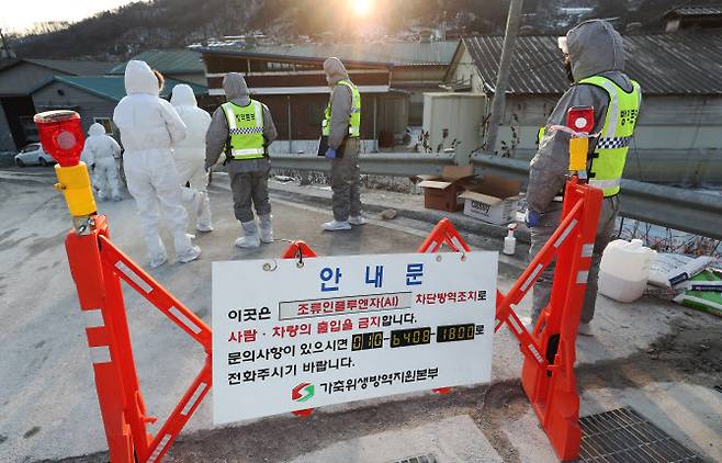 한 양계농장에서 조류인플루엔자(AI) 확진 판정이 내려지자 방역 관계자들이 시설물로 이동하고 있다. (사진=연합뉴스)