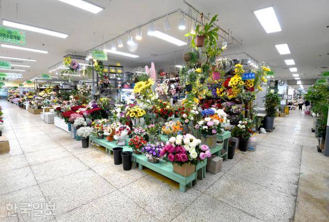 졸업식 시즌과 코로나19 확산이 겹치면서 행사 취소나 비대면으로의 전환이 늘어나면서 화훼시장이 얼어붙었다. 12일 서울 서초구 양재동 꽃시장이 한산한 모습을 보이고 있다. 서재훈 기자