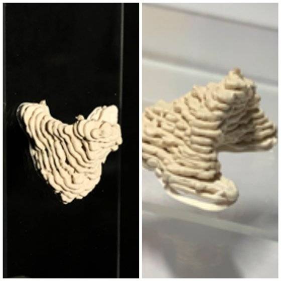 제비집과 똑같은 비율로 3D 프린팅한 인공 둥지. [사진 서울대]