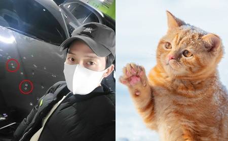 허경환 인스타그램, 게티이미지뱅크