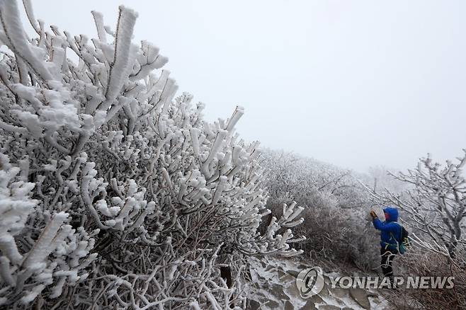 설경 담는 무등산 등산객 [연합뉴스 자료사진]