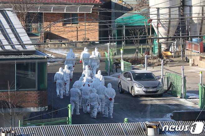 조류인플루엔자(AI) 방역당국 관계자들이 지난 6일 세종시 부강면에 위치한 한 양계농장에서 전날 밤 고병원성 AI가 확진 판정이 내려짐에 따라 살처분 작업을 하기 위해 이동하고 있다. 2021.1.6 /뉴스1 © News1 장수영 기자