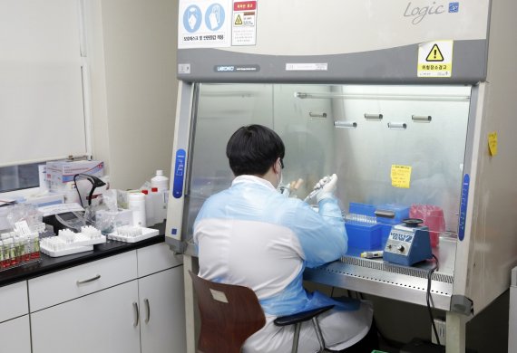 전남대병원이 지난해 시행한 코로나19 유전자증폭(PCR) 진단검사는 젊은층(20·30대)이 많이 받았고, 양성 확진율은 10대를 제외하고 고령층(60·70대)이 비교적 높았던 것으로 분석됐다.