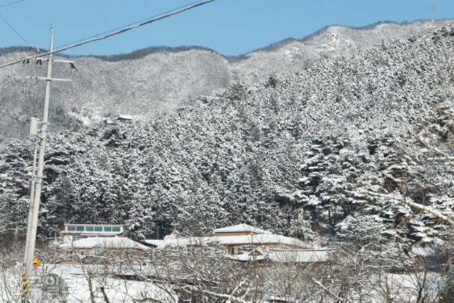 축령산 남쪽 산자락 추암마을 설경. 편백나무 숲이 널리 알려지면서 카페와 펜션, 별장 등이 곳곳에 들어섰다.