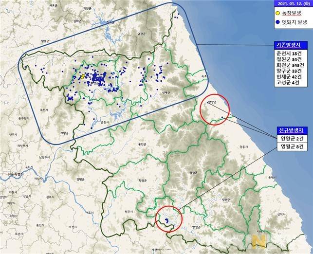 지난 12일 기준 강원도 야생멧돼지 ASF 발생 지도. (강원도 제공)
