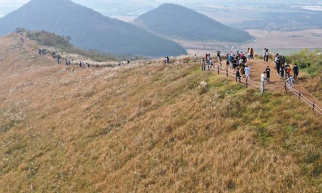 지난해 10월 제주시 애월읍 새별오름을 찾은 관광객들이 활짝 피어난 억새를 감상하며 깊어가는 가을 정취를 즐기고 있다. /사진=뉴시스
