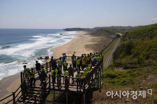 자료사진 [아시아경제 DB]