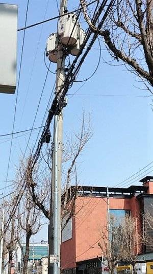 거미줄 같은 전선 [뉴시스DB]