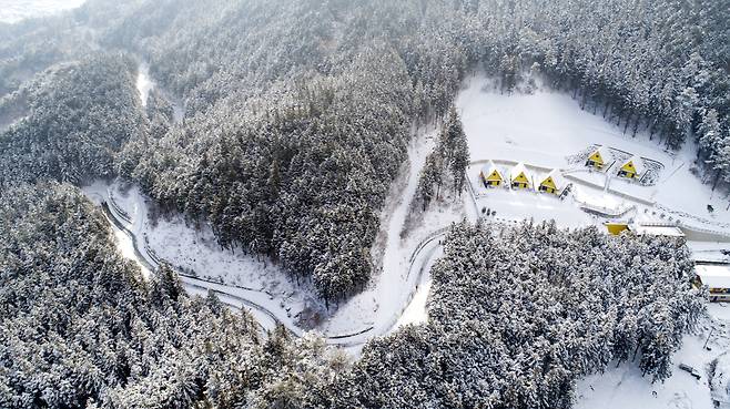 지난 1일 설국으로 변한 전남 장성군 축령산 일대 모습./김영근 기자