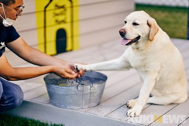 소노펫 반려견 클래스. (소노호텔&리조트 제공)