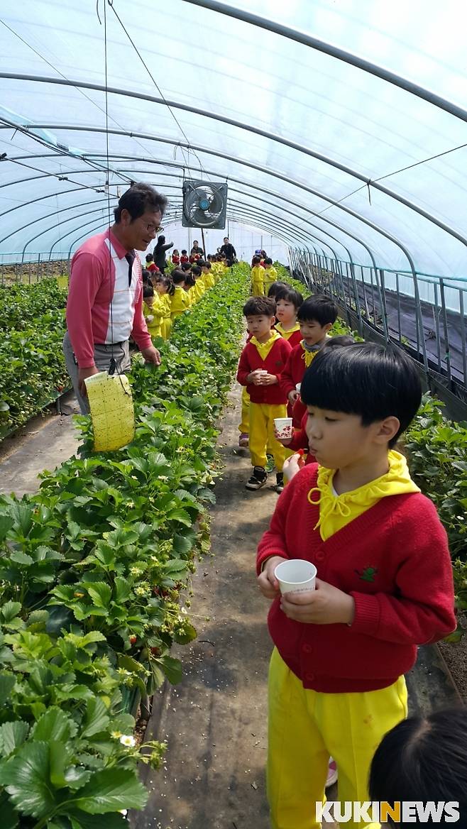 ▲천전규 논산딸기축제추진위 위원장이 딸기체험장에서 어린이들과 함께 하고 있다.