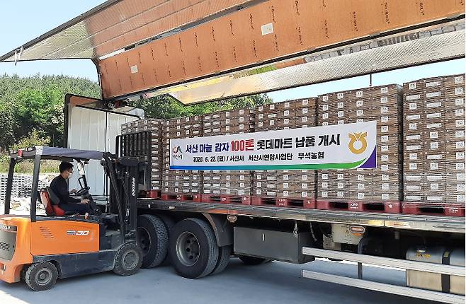 서산 부석농협 서산 마늘 감자 100톤 롯데마트 납품. 서산시 제공