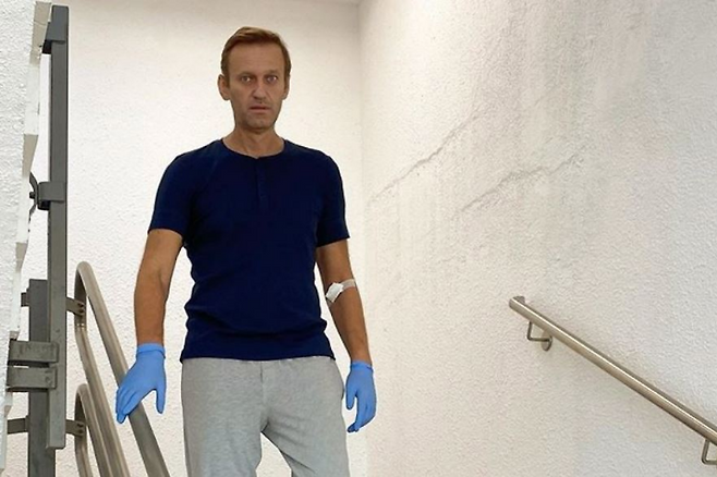 러시아 야권 지도자 알렉세이 나발니. 연합뉴스