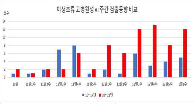 야생조류 고병원성 AI 주간 검출동향 비교 © 뉴스1