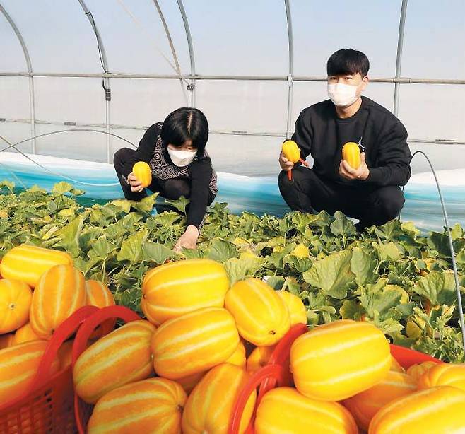 /연합뉴스