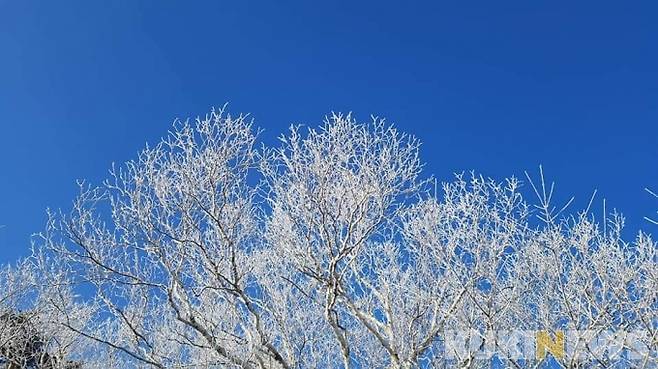 사진=류태호 강원 태백시장