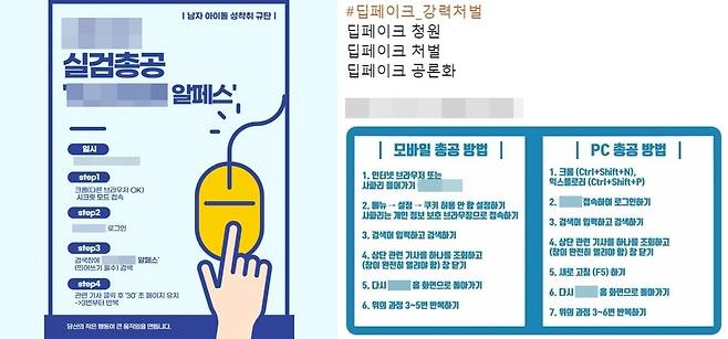 '알페스'를 비난하는 게시글(사진 왼쪽)과 '딥페이크'를 비난하는 게시글(오른쪽) [온라인 커뮤니티, 트위터 캡처. 재판매 및 DB 금지]