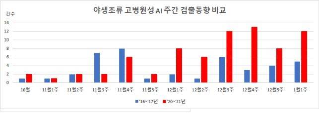 야생조류 고병원성 AI 주간 검출 동향 비교 [환경부 제공. 재판매 및 DB 금지]