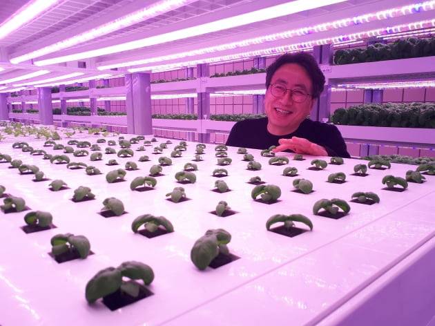 서울 상도역 실내수직농장 '메트로팜'에서 강대현 팜에이트 사장이 첨단 재배기술에 대해 설명하고 있다. 안대규 기자