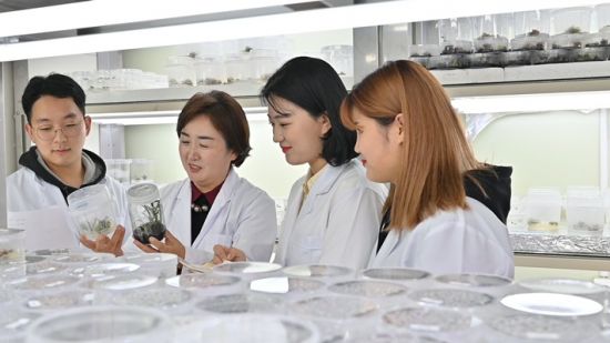 나해영 교수(좌측 두번째)가 실험 실습을 지도하고 있다. (사진=목포대학교 제공)