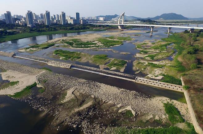 세종보/ 신현종 기자