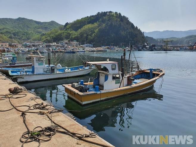 어선(쿠키뉴스DB)