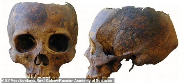 스키타이 국왕 후궁의 두개골(사진=엘리자베타 베셀로프스카야, 라빌 갈리프 제공)