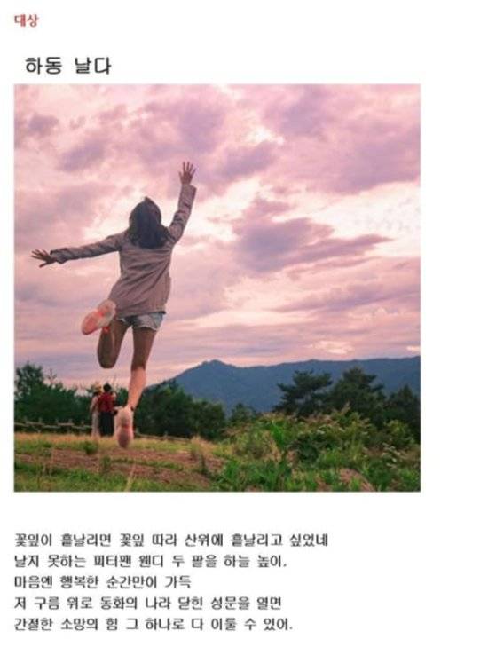 대상작 '하동 날다'. 인터넷 커뮤니티 캡처