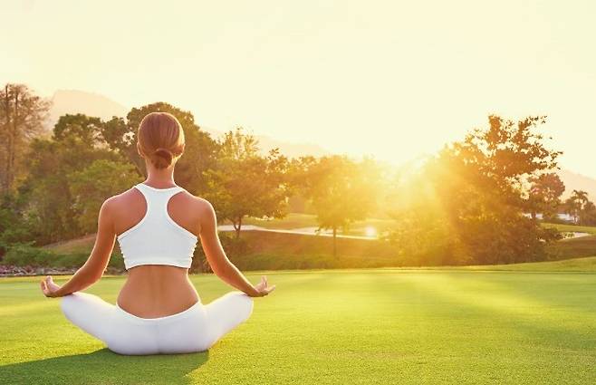 메이필드 숲속 요가