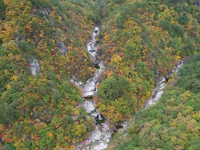 소금강계곡의 명소 구룡폭이 아홉 마리의 용이 승천하듯 구불구불 흘러내린다. 사진 오대산국립공원사무소 제공