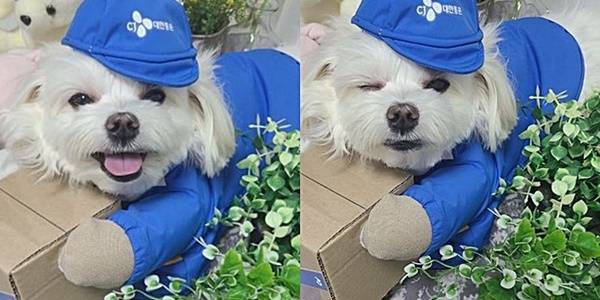 깜찍한 경태의 표정