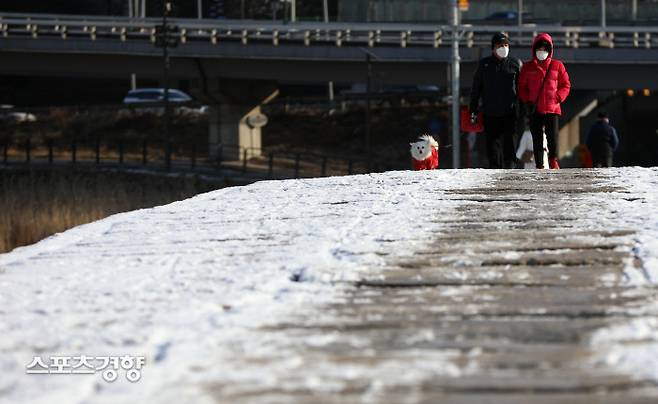 시민들이 반려견과 함께 살곶이다리를 건너고 있다. 권도현 기자