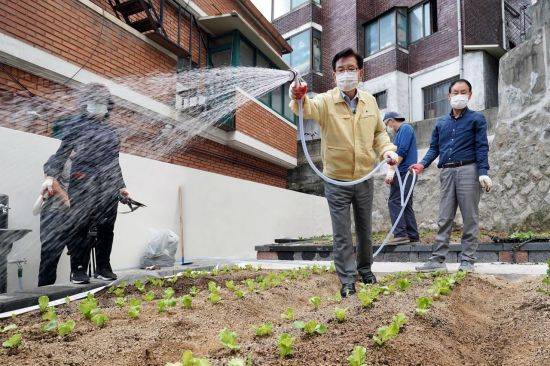 유덕열 동대문구청장이 답십리동 빈집 터에 조성된 도시 텃밭 1호에 물을 주고 있다.