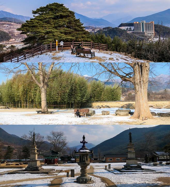 지리산 둘레길 3코스(인월~금계) 중 장항마을의 노루목 당산 소나무와 신내면 일대 전경(위 사진). 대숲 쪽 벤치에서 얼음을 매만지며 노는 아이의 모습. 실상사는 어린이에게도 열린 공간이다(가운데). 보광전 앞 실상사 동서 삼층석탑(보물 제37호)과 석등. 이 자리에 서면 절이 지리산 봉우리로 둘러싸였다는 걸 알 수 있다.