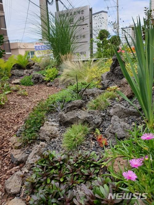 [서울=뉴시스] 서울 마포구 공덕주차장 녹화사업. (사진=서울시 제공) 2021.01.20. photo@newsis.com