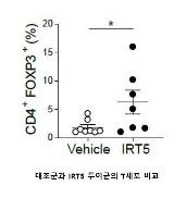 (서울=연합뉴스) IRT5 투여군에서 대조군에 비해 면역조절 T세포 수가 많은 것으로 조사됐다. 2021.01.20. [세브란스병원 제공. 재판매 및 DB 금지]