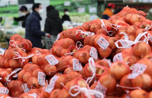 14일 오후 서울 서초구의 한 대형 마트 채소 코너에서 시민들이 장을 보고 있다. 지난 9일 통계청에 따르면 작년 12월 소비자물가지수는 전년 같은 달보다 0.5% 올랐으나 농·축·수산물은 9.7%나 올랐다. 연합뉴스
