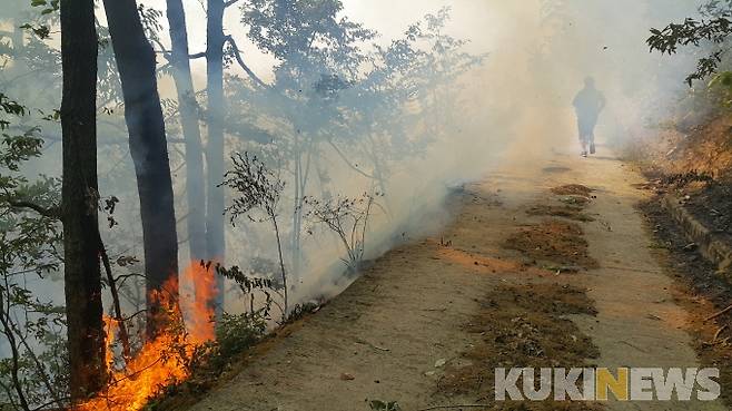 강원 삼척시 도계 산불(쿠키뉴스 DB)