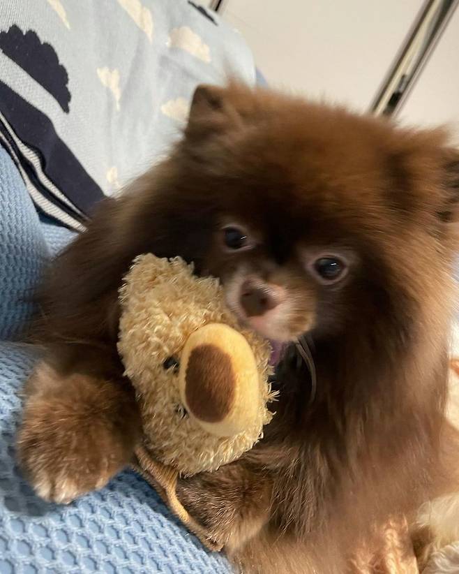 Group BLACKPINK Jenny Kim shared a daily photo with her pet dog.Jenny Kim posted several photos on her Instagram account on January 21, along with an article entitled Swipe left for some cute puppy photos.In the photo, Jenny Kim is wearing a bucket hat on a sleeveless tee and taking a mirror selfie, and she catches her eye with her beautiful beauty even in her modest face.The ensuing photo showed Jenny Kims pet dogs showing off their charm in a cute figure, which caused a smile on their mothers and made fans minds feel hearts pounded.Meanwhile, Jenny Kim recently opened a personal YouTube channel, which has exceeded one million subscribers in a day and currently has 4.44 million subscribers.Lee Soo-min in the news