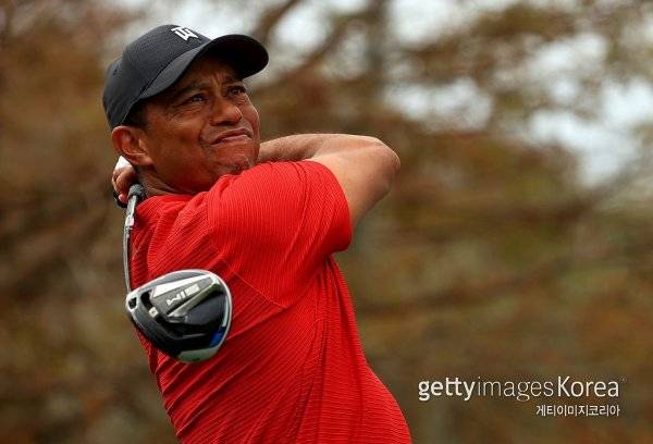타이거 우즈. 사진=게티이미지코리아