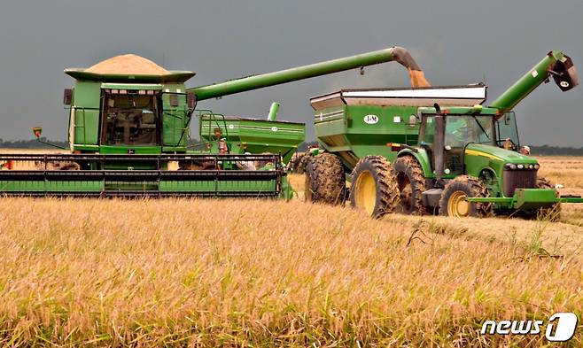 미국 농가에서 쌀을 수확하고 있는 장면