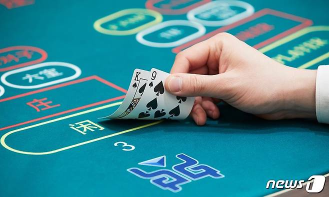 랜딩카지노 홈페이지© 뉴스1