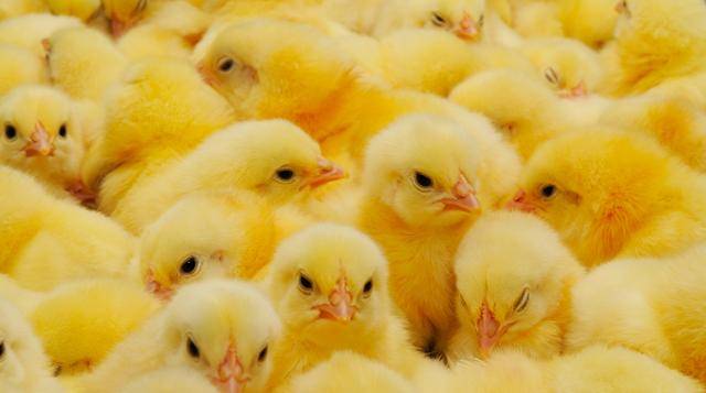 게티이미지뱅크