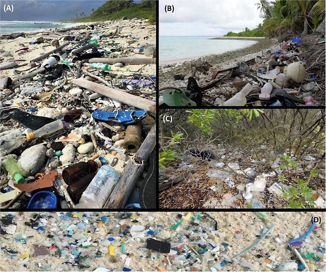 호주 코코스제도에서 확인된 플라스틱 쓰레기들의 모습. 사이언티픽리포트 제공