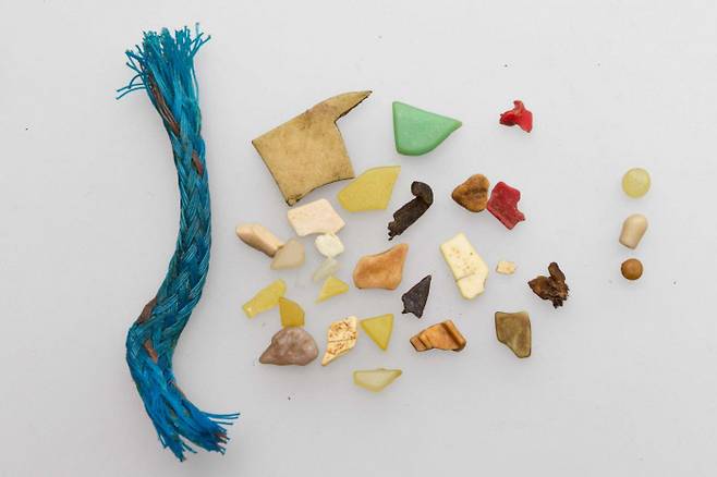 북방풀머갈매기의 위에서 나온 플라스틱 쓰레기들의 모습. Jan van Franeker 제공