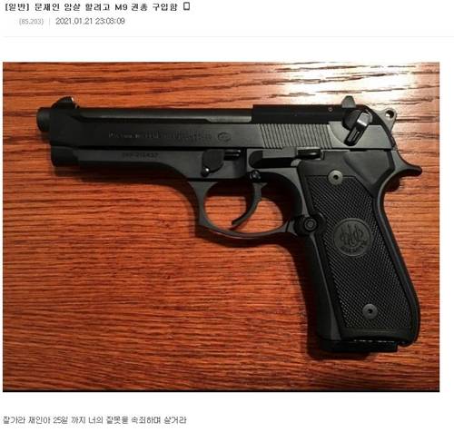 인터넷에 올라온 `대통령 암살하려 권총 샀다' 글 [디시인사이드 캡처]