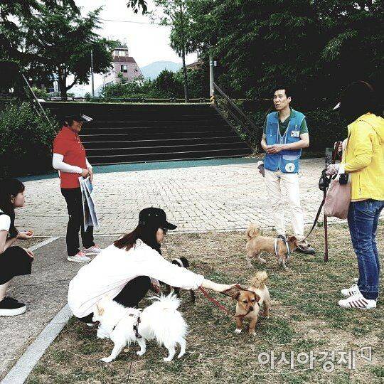 자료사진 [아시아경제 DB]