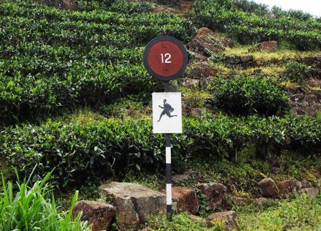 뜀박질 제한 속도가 시속 12㎞인지, 차의 속도를 그리 제한하는 건지 잠시 알쏭달쏭했다. ⓒ강미승