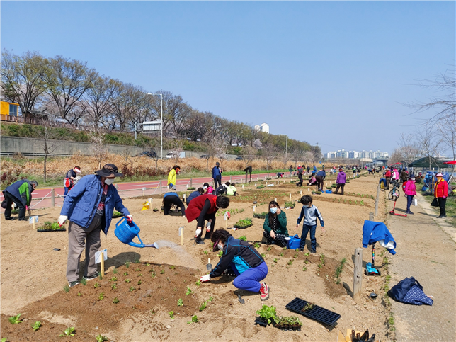 지난해 도시농업 체험학습장에 참가한 가족이 채소에 물을 주고 있다. / 사진제공=동대문구