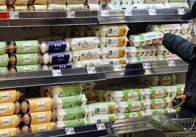 지난 17일 롯데마트 서울역점에서 시민들이 달걀을 구매하고 있다. (사진=연합뉴스)